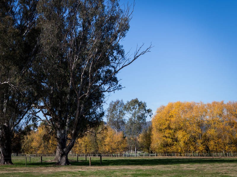 215 Moyhu-Meadow Creek Road, Moyhu VIC 3732