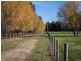 215 Moyhu-Meadow Creek Road, Moyhu VIC 3732