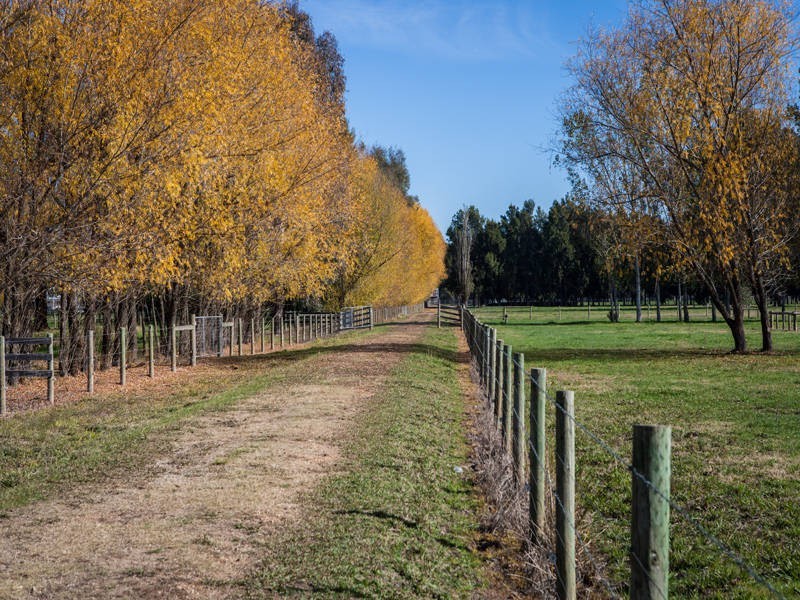 215 Moyhu-Meadow Creek Road, Moyhu VIC 3732