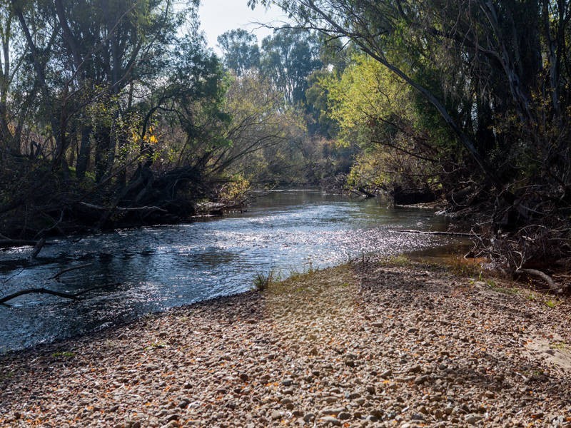 215 Moyhu-Meadow Creek Road, Moyhu VIC 3732