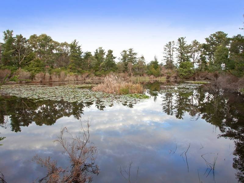 31 Boes Rd, Tyabb VIC 3913