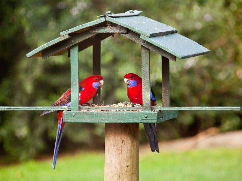 77 Red Hill Road, Red Hill VIC 3937