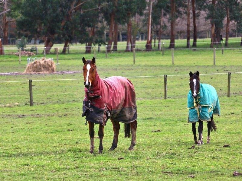 91 Bittern-Dromana Rd, Balnarring VIC 3926