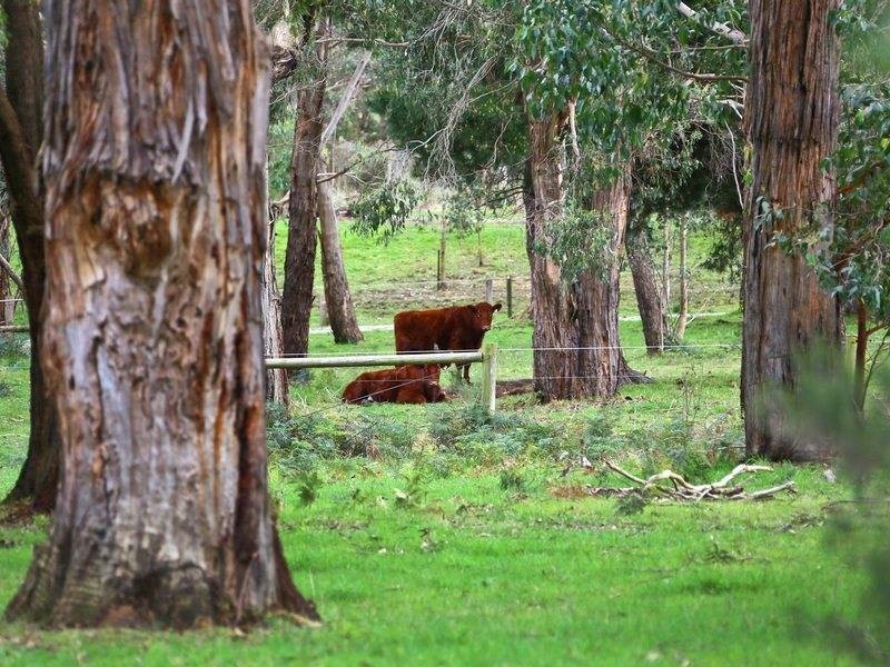 91 Bittern-Dromana Rd, Balnarring VIC 3926