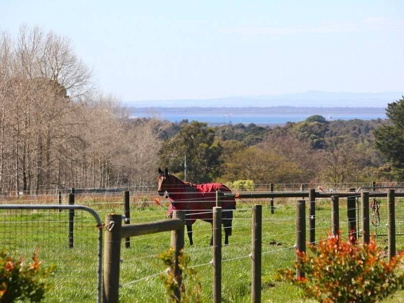 3 Wonderland Avenue, Balnarring VIC 3926