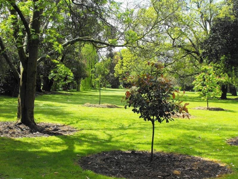 3 Wonderland Avenue, Balnarring VIC 3926