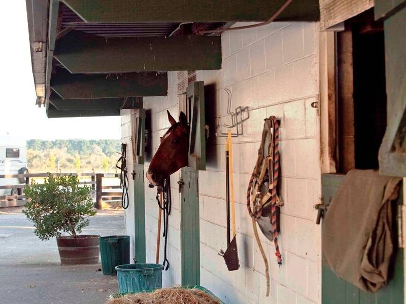 3 Wonderland Avenue, Balnarring VIC 3926