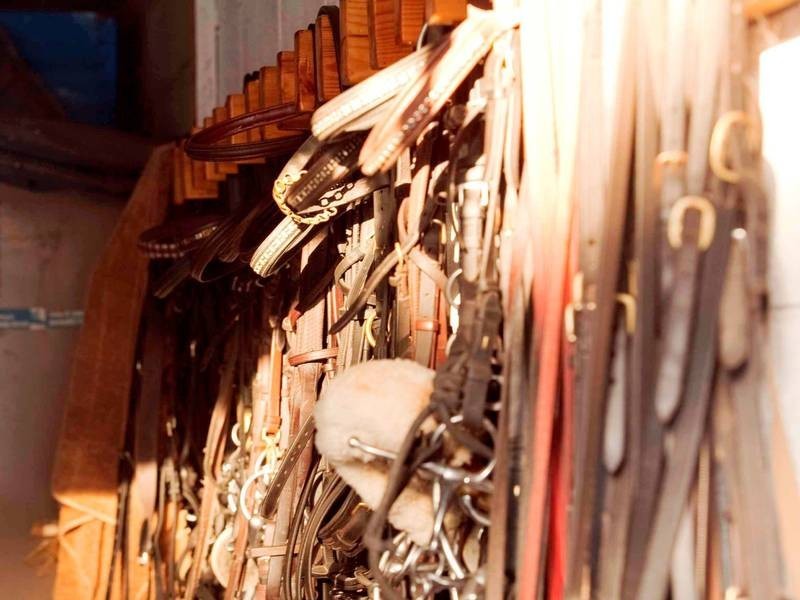 3 Wonderland Avenue, Balnarring VIC 3926