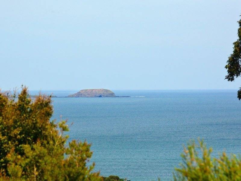 25 Myers Drive, Shoreham VIC 3916