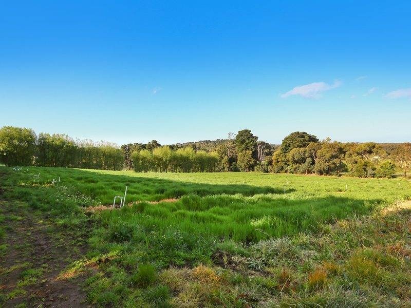 1421 Mornington – Flinders Rd, Main Ridge VIC 3928