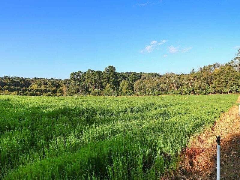 1421 Mornington – Flinders Rd, Main Ridge VIC 3928