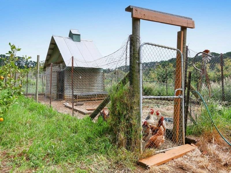 5 McIlroys Rd, Red Hill VIC 3937