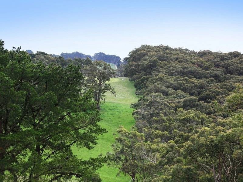 5 McIlroys Rd, Red Hill VIC 3937