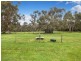12 Janeallan Crt, Tyabb VIC 3913