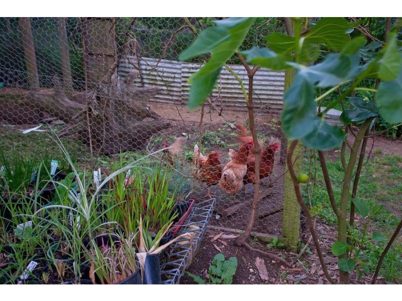 28 Beauford Rd, Red Hill VIC 3937