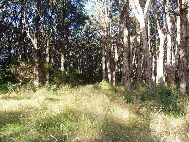 304 Stumpy Gully Road, Balnarring VIC 3926