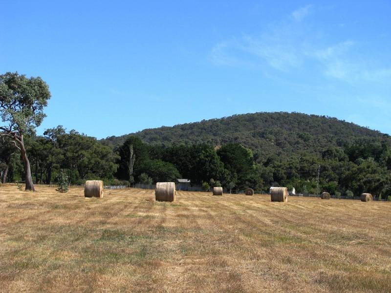 8 Boundary Road, Dromana VIC 3936