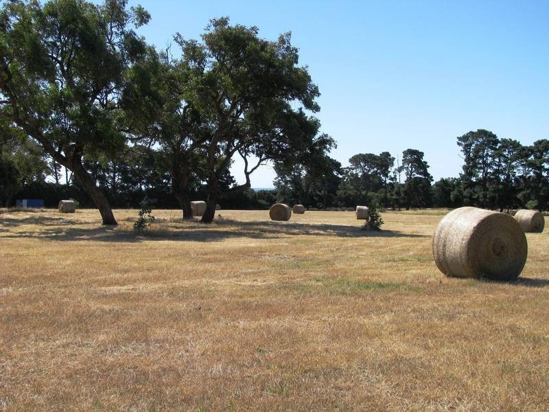 8 Boundary Road, Dromana VIC 3936