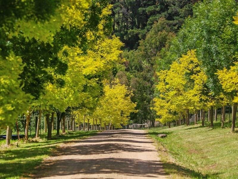 250 Red Hill Road, Red Hill VIC 3937