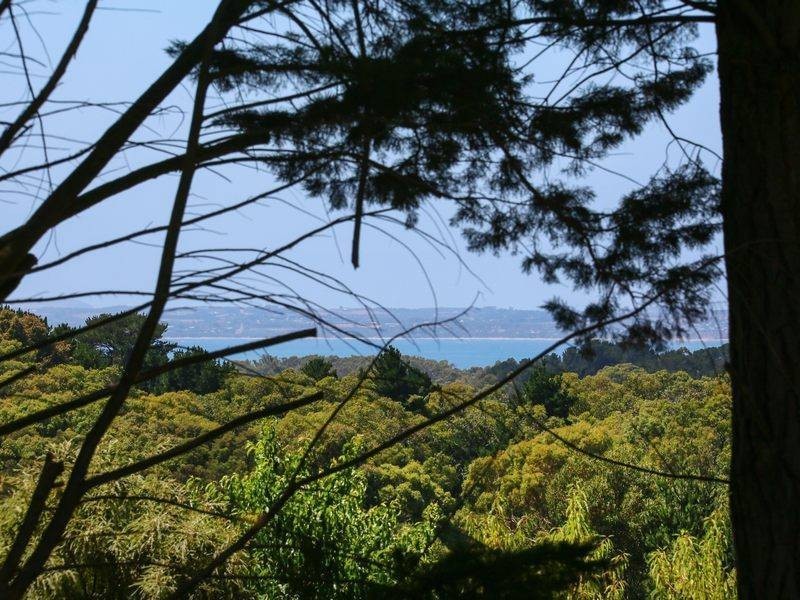 Lot 2 /223 Red Hill Rd (Hillside Grove), Red Hill VIC 3937