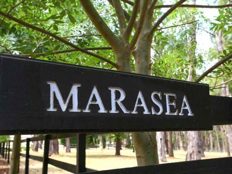 3 Tonkins Road, Merricks VIC 3916