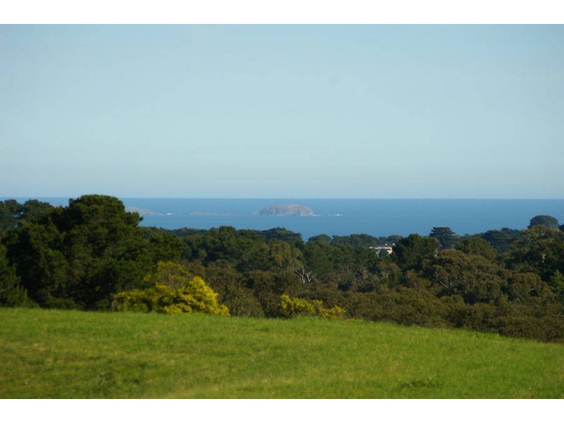 21 Paringa Road, Red Hill VIC 3937