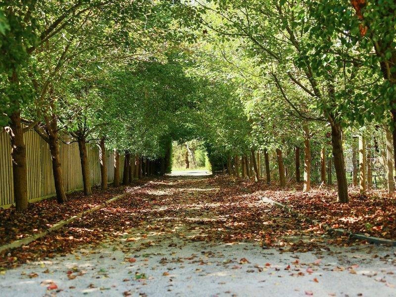 2770 Frankston Flinders Road, Balnarring VIC 3926