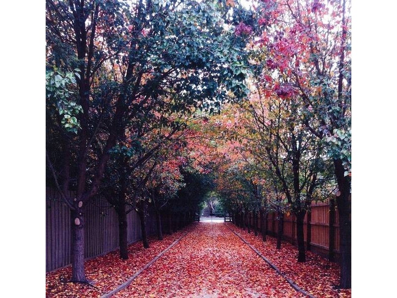 2770 Frankston Flinders Road, Balnarring VIC 3926