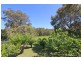 150 Point Leo Road, Red Hill VIC 3937