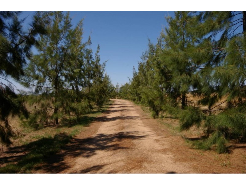 13 Coolart Road, Somers VIC 3927