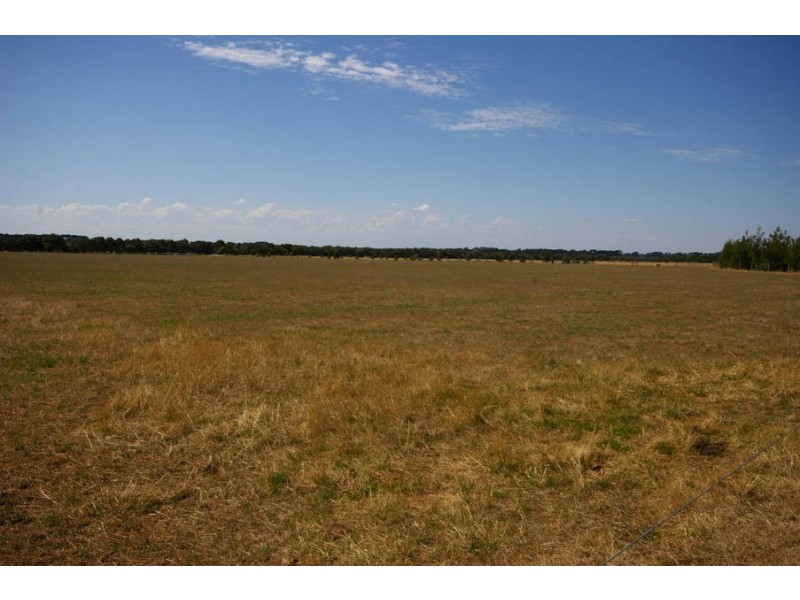 13 Coolart Road, Somers VIC 3927