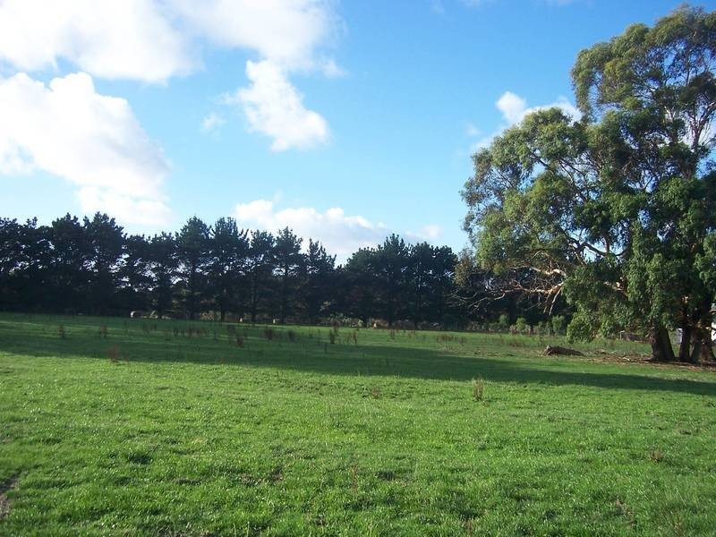 4 Wonderland Avenue, Tuerong VIC 3915