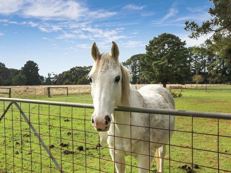 221 Coolart Rd, Hastings VIC 3915