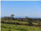 81 Thompsons Lane, Merricks VIC 3916