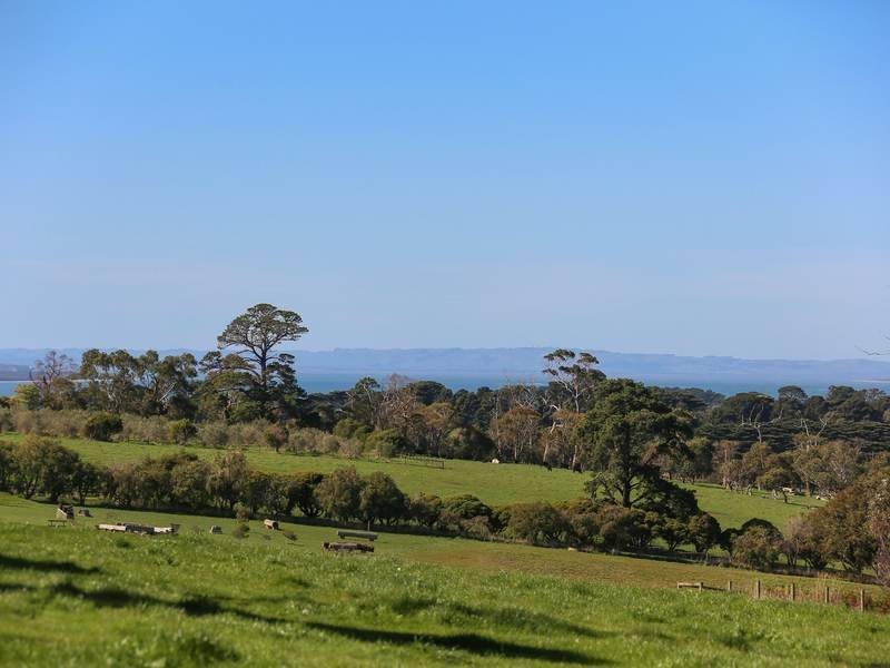 81 Thompsons Lane, Merricks VIC 3916