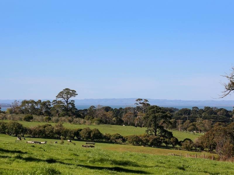 81 Thompsons Lane, Merricks VIC 3916