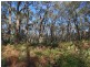 81 Thompsons Lane, Merricks VIC 3916