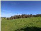81 Thompsons Lane, Merricks VIC 3916