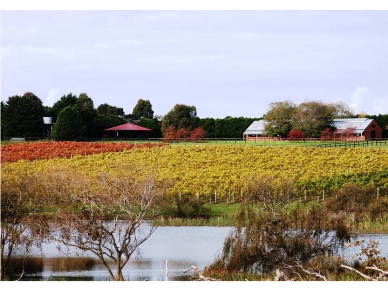 64 Tubbarubba Rd, Merricks North VIC 3926