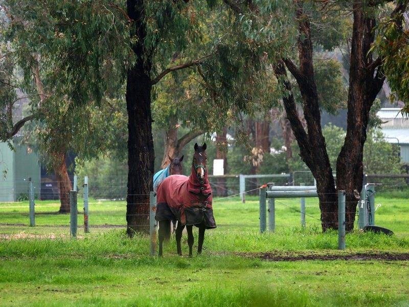 1204 Stumpy Gully Road, Moorooduc VIC 3933