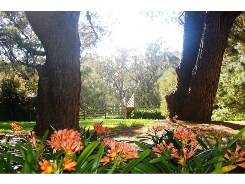 148 Meakins Road, Flinders VIC 3929