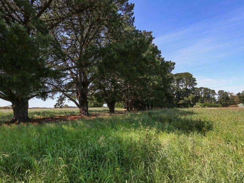 85 Stanleys Rd, Red Hill VIC 3937