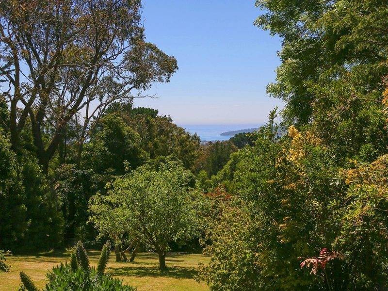 710 White Hill Rd, Red Hill VIC 3937