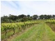 111 Tucks Road, Main Ridge VIC 3928