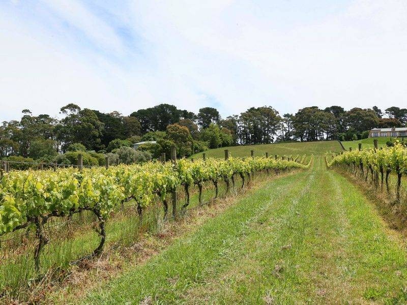 111 Tucks Road, Main Ridge VIC 3928