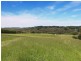111 Tucks Road, Main Ridge VIC 3928