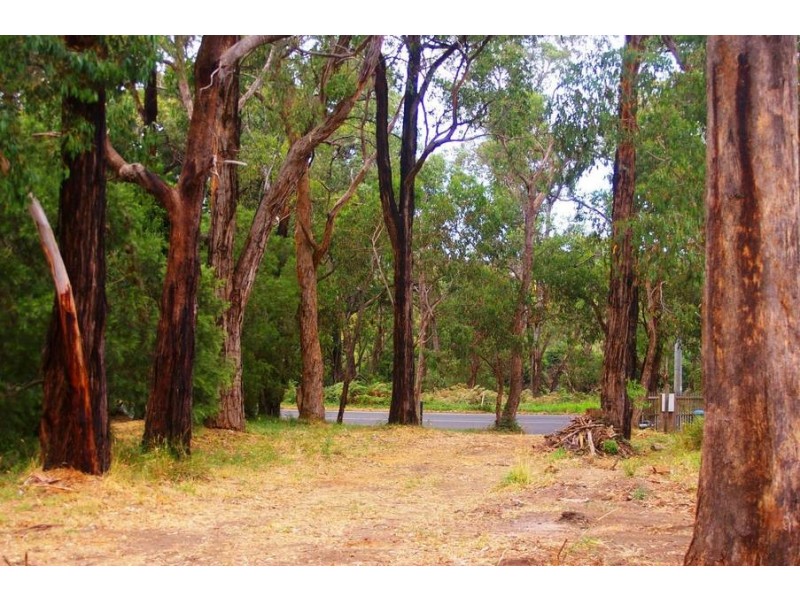 22 Red Hill Rd, Red Hill VIC 3937