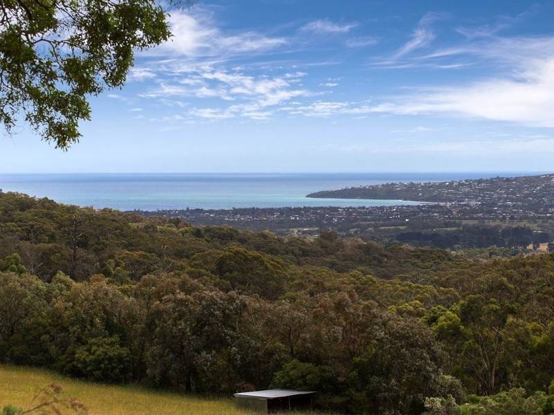 50 Sheehans Road, Red Hill VIC 3937
