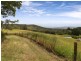 50 Sheehans Road, Red Hill VIC 3937