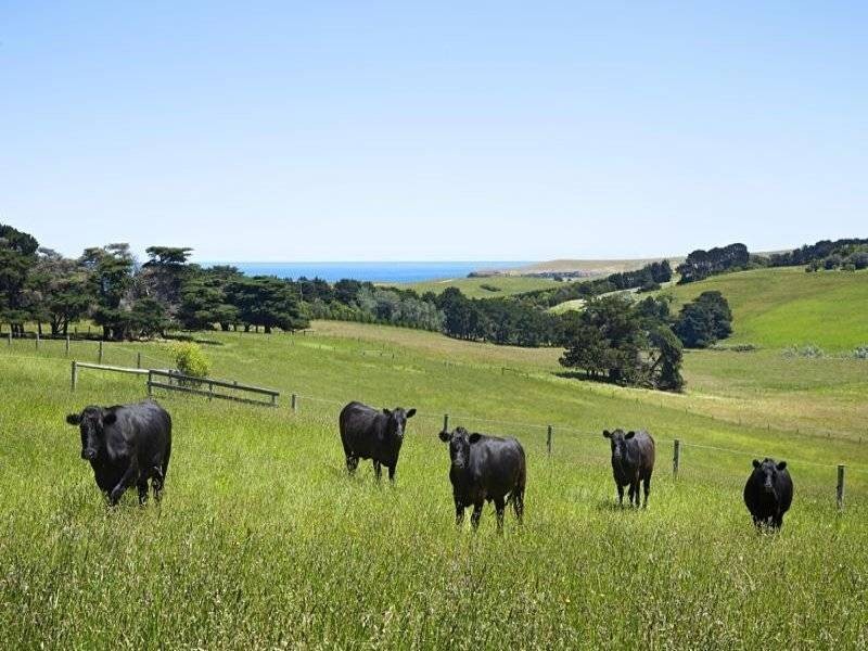 260 Punchbowl Rd, Flinders VIC 3929